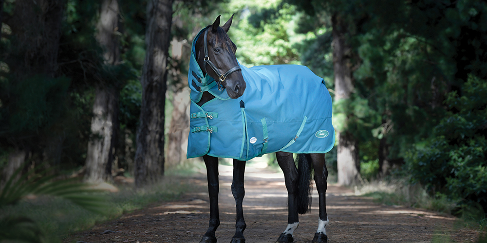 WeatherBeeta Green Tec 900D Detach A Neck Medium Turnout WeatherBeeta Green Tec 900D Detach A Neck Medium Turnout
