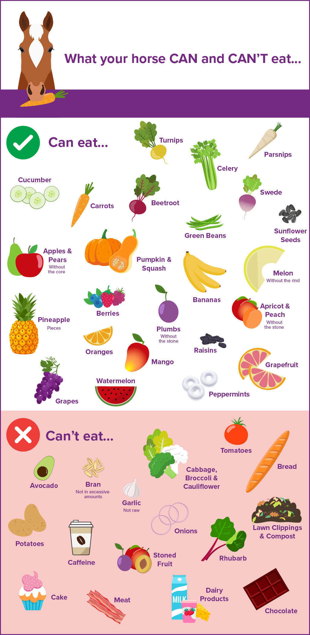 Infographic of what horse's can and can't eat