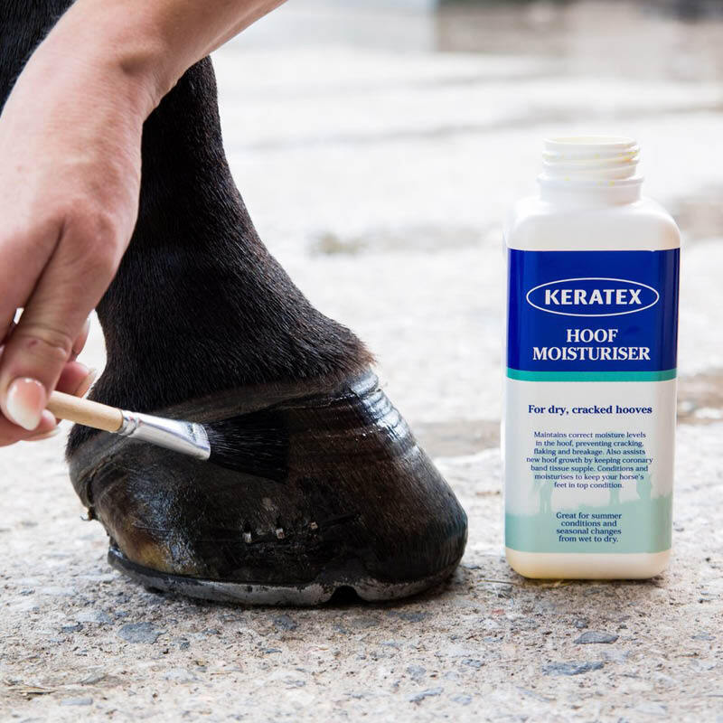 Hoof Care