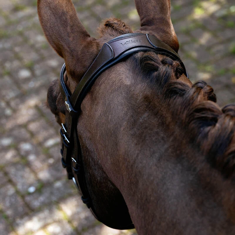 Headpieces & Throat Latches