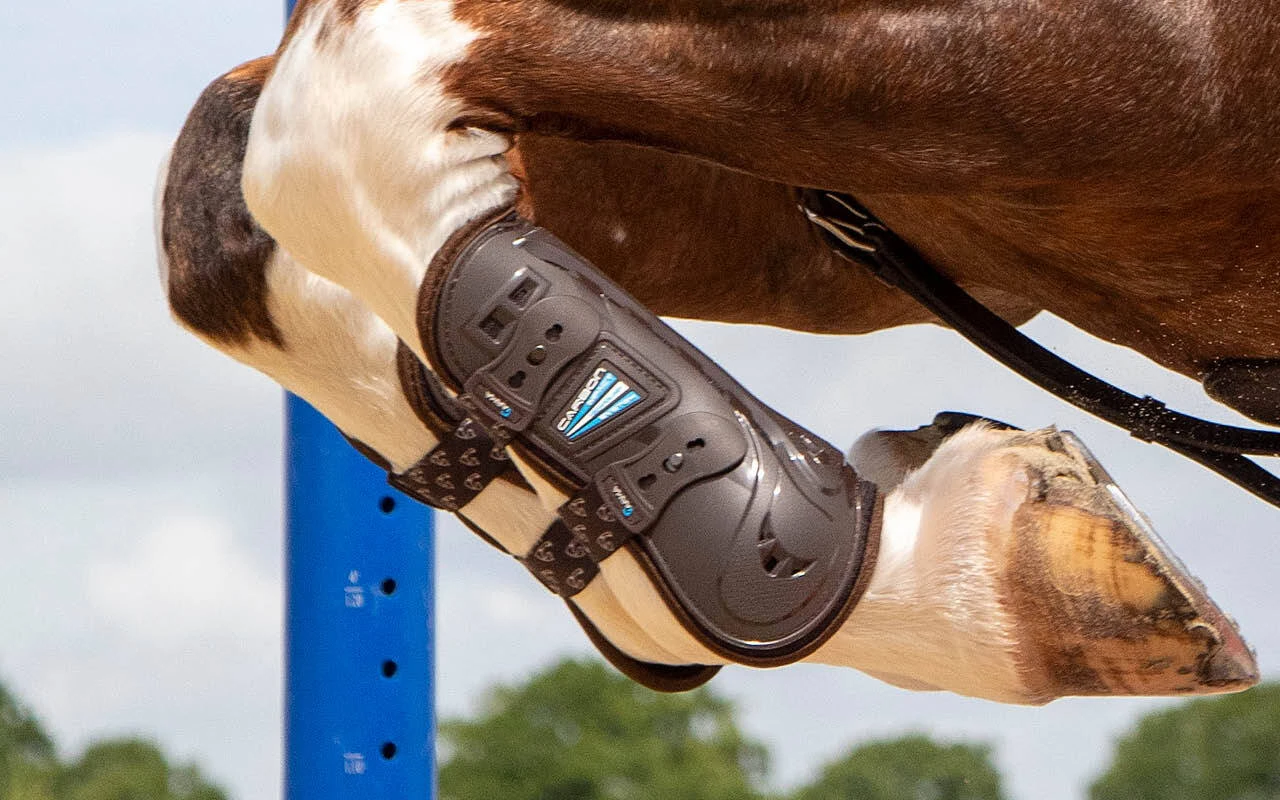 Tendon & Fetlock Boots