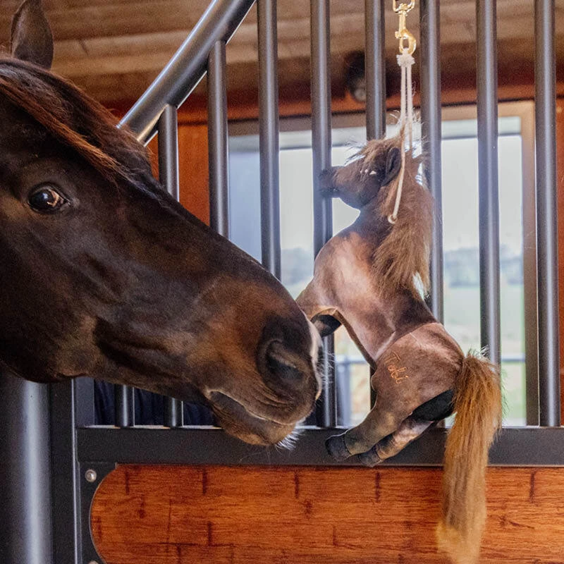 Horse Toys