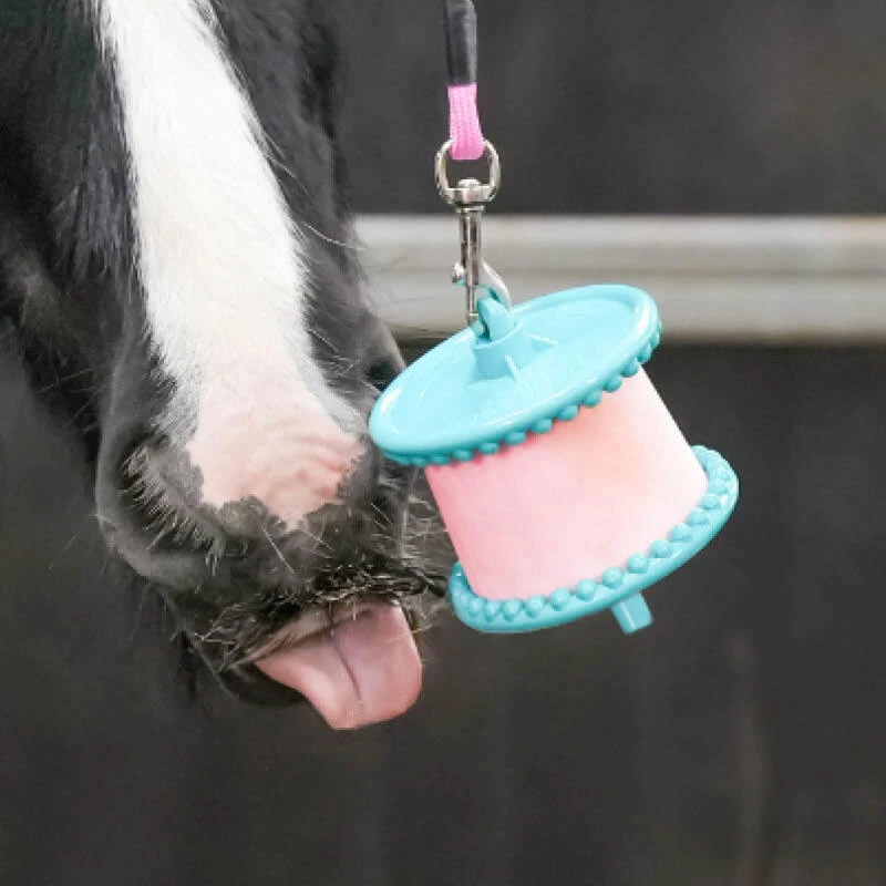 Horse Treats, Licks & Holders