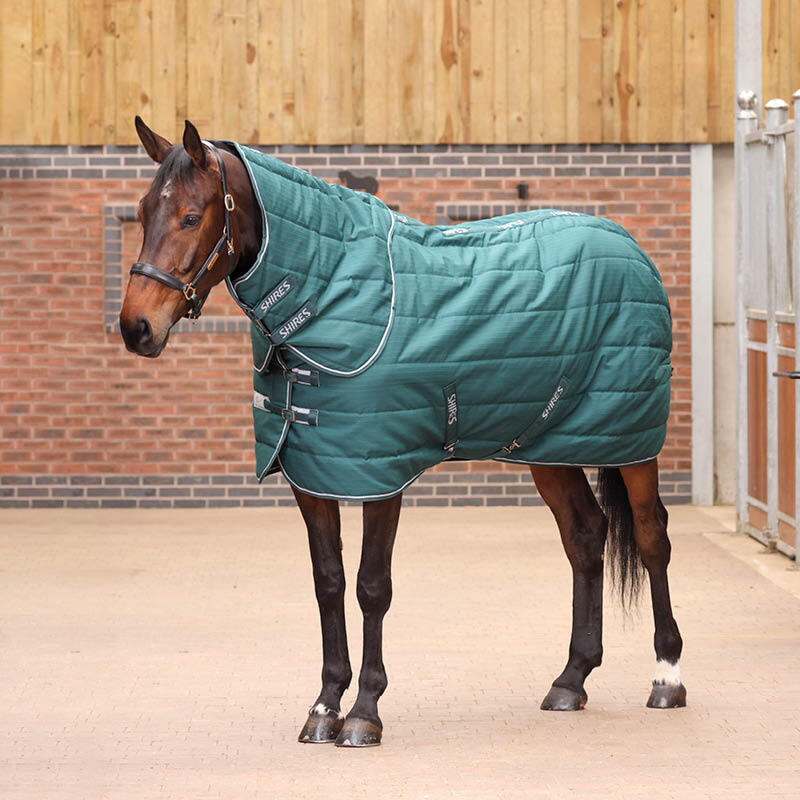 Medium Weight Stable Rugs