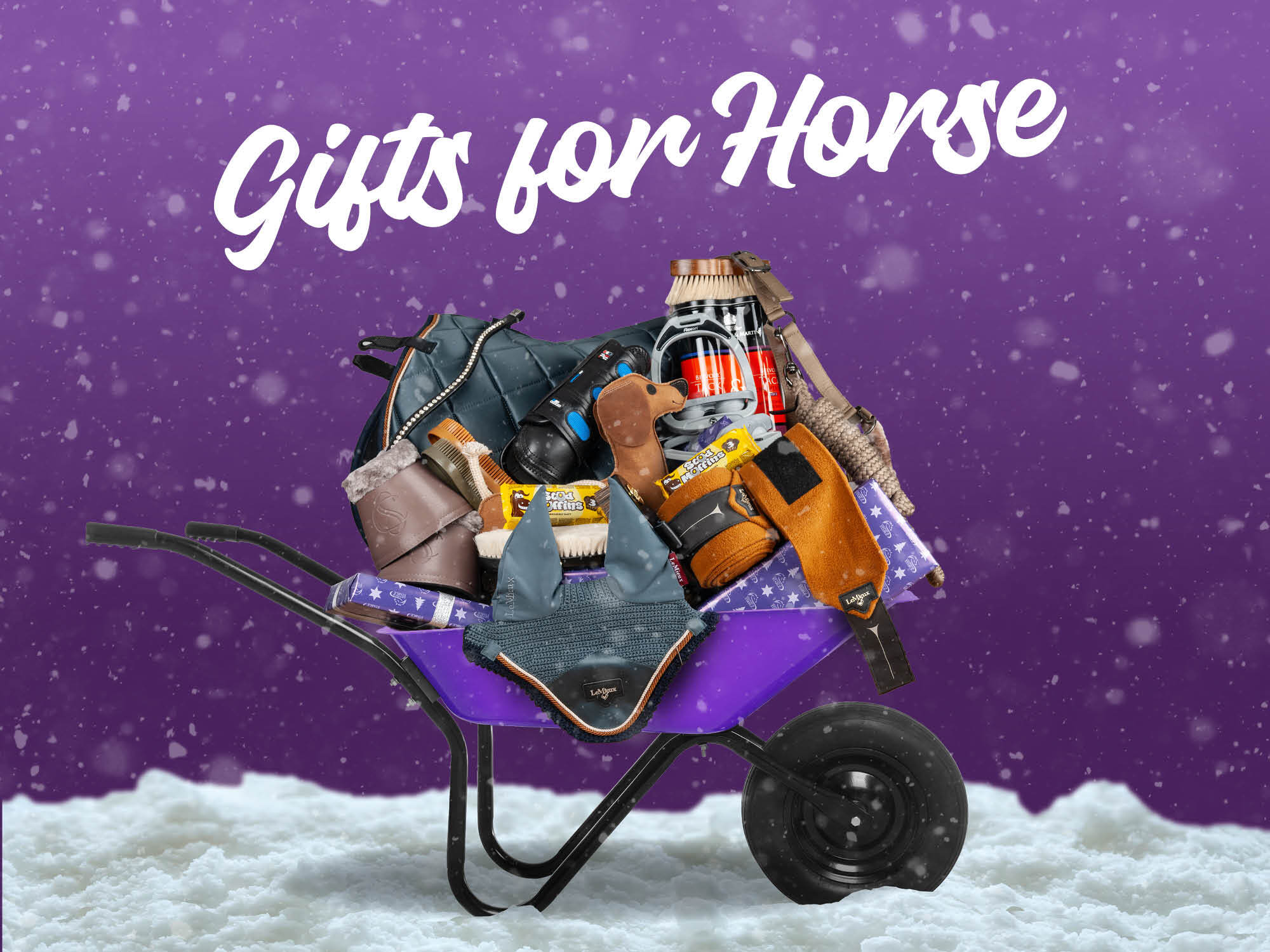 Christmas Gifts for Horse