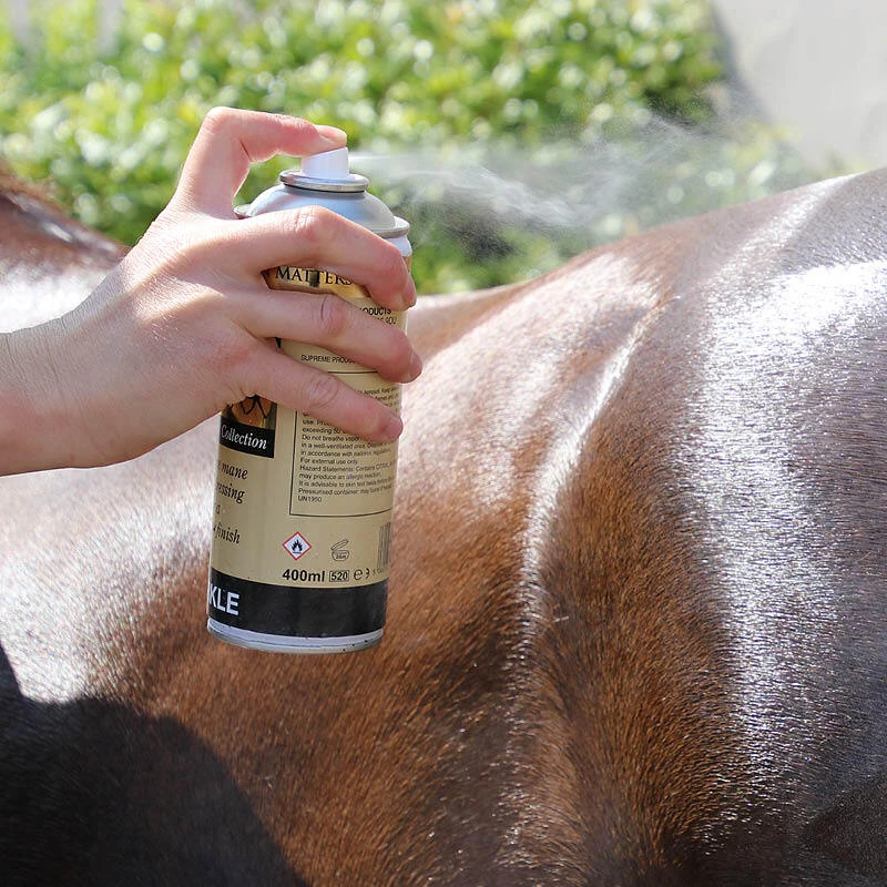 Coat Shine & Show Preparation