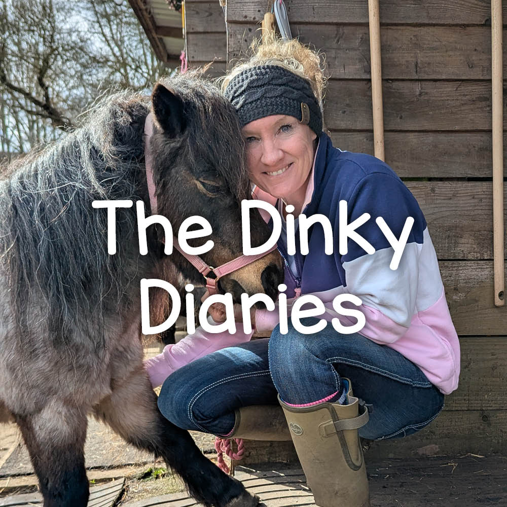 Dinky Diaries: Meet Poppy and Catch Up with the Dinky Ponies