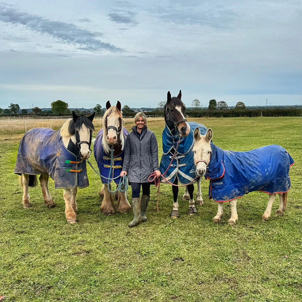 Shires Turnout Rugs Review: Highlander, Tempest and Typhoon