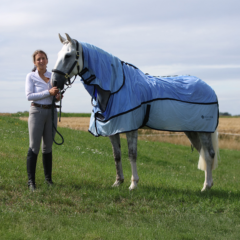 Review of the Equilibrium Quick Chill Cooling Rug for Horses