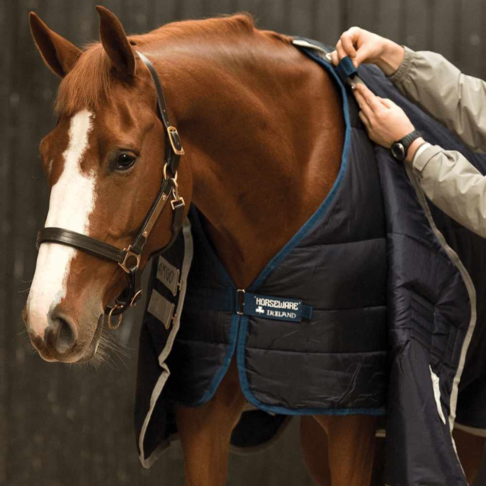A Complete Guide to Horse Rugs: Denier, Neck Types, Fill & More