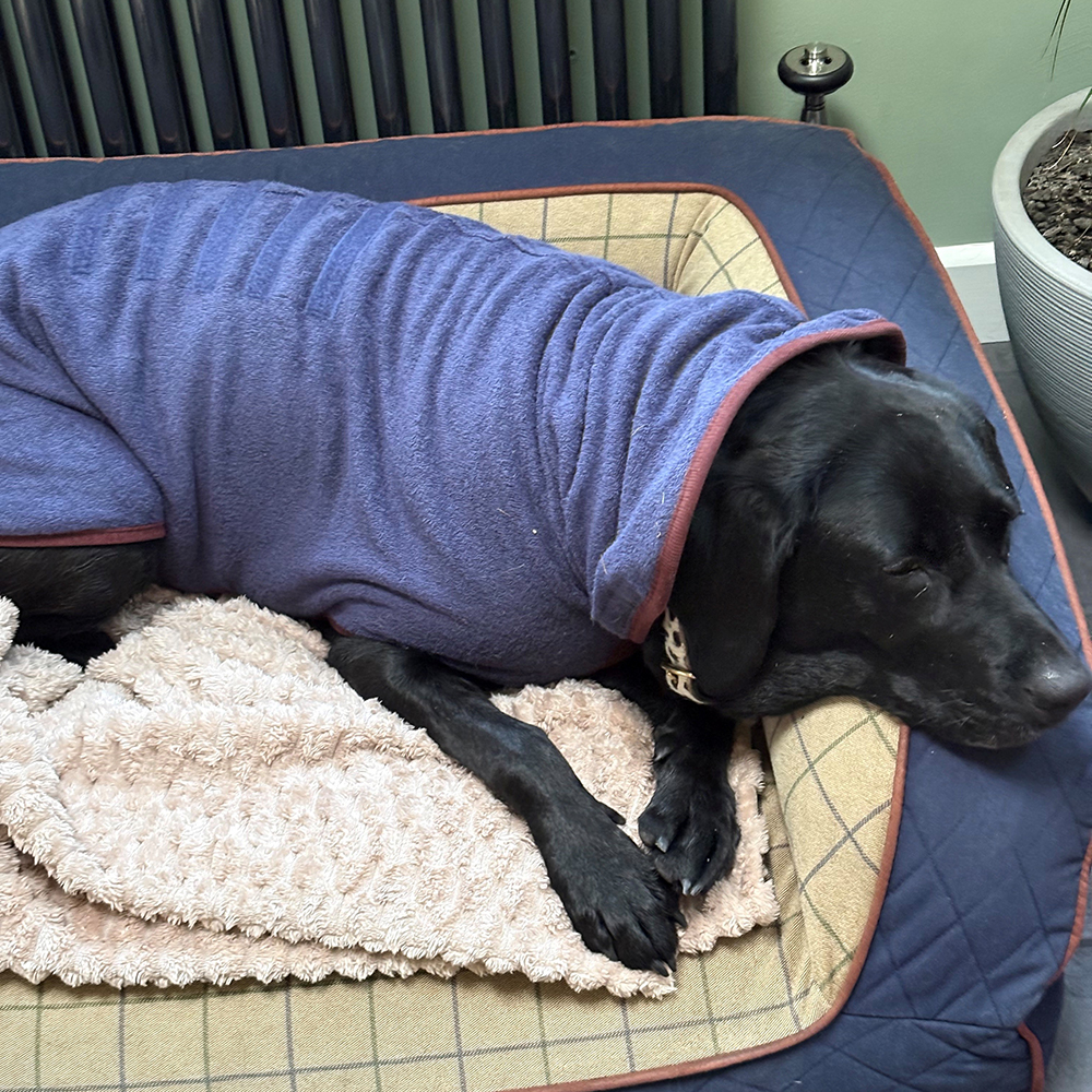 Review of the Ruff  & Tumble Dog Drying Coat