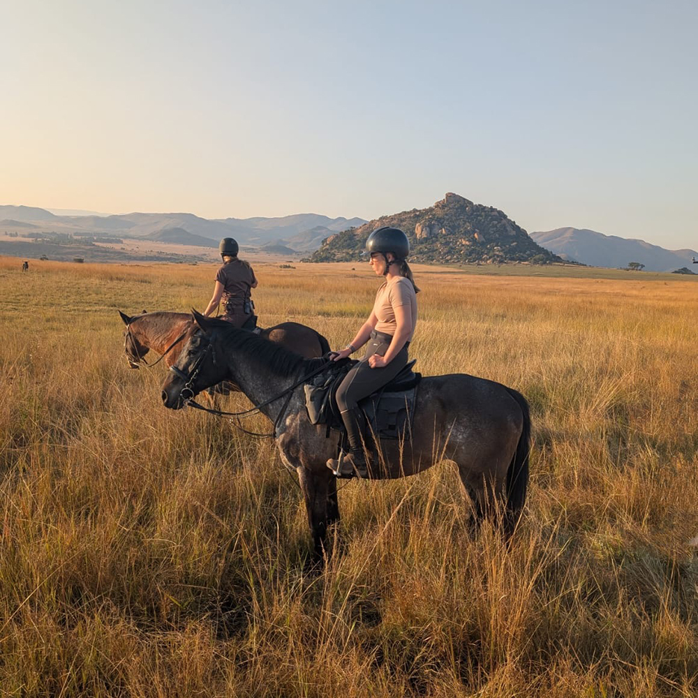 Horse Riding Safari Holidays: What to Pack & How to Prepare