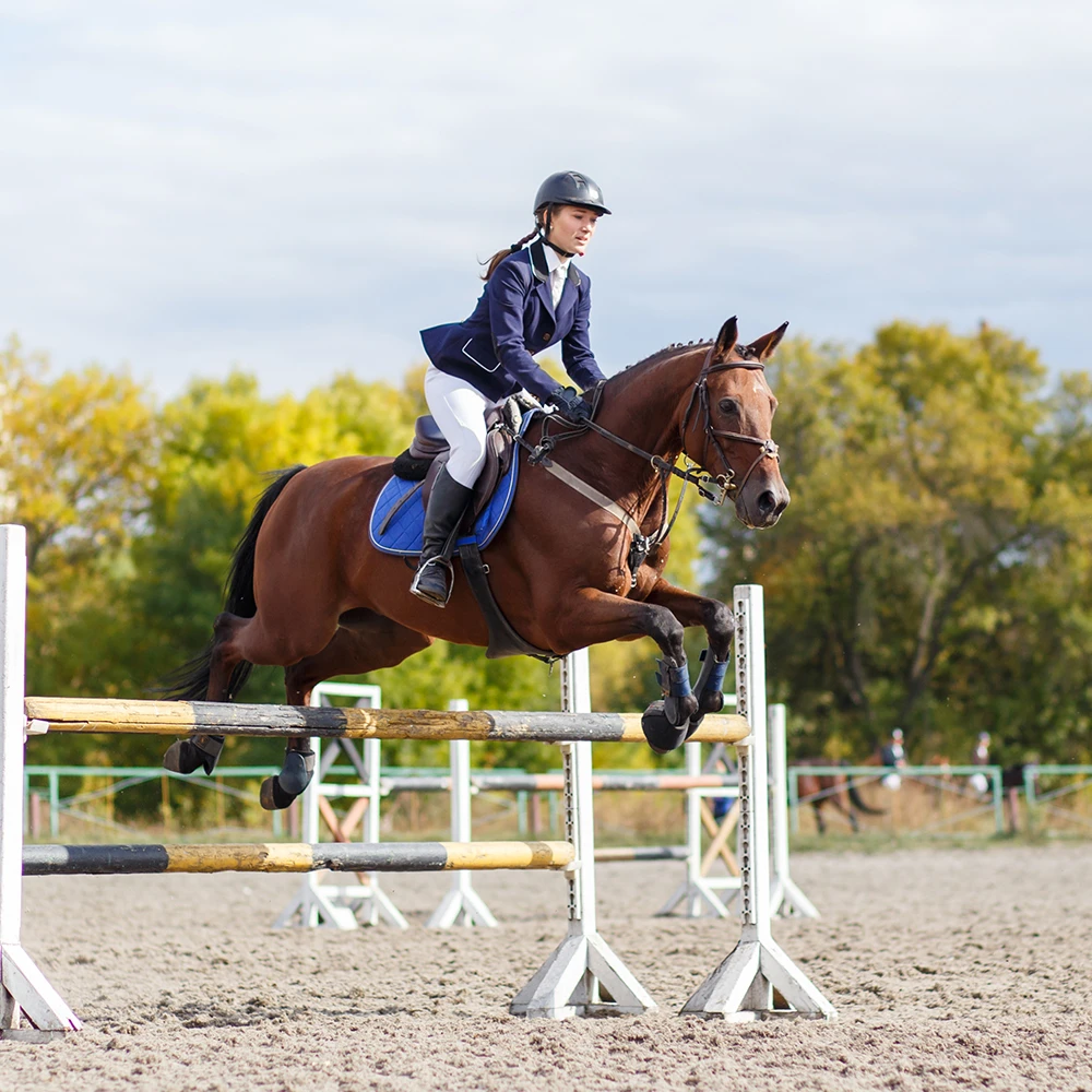 What to Wear for Show Jumping: From Your First Show to Affiliated