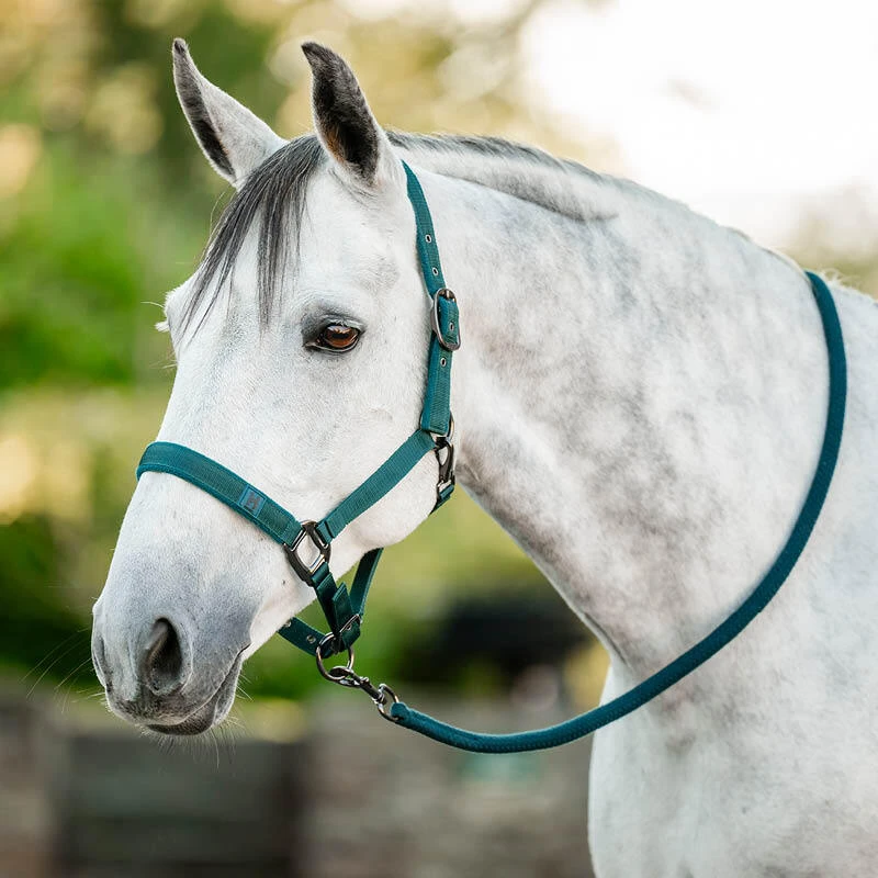 Headcollar Sets