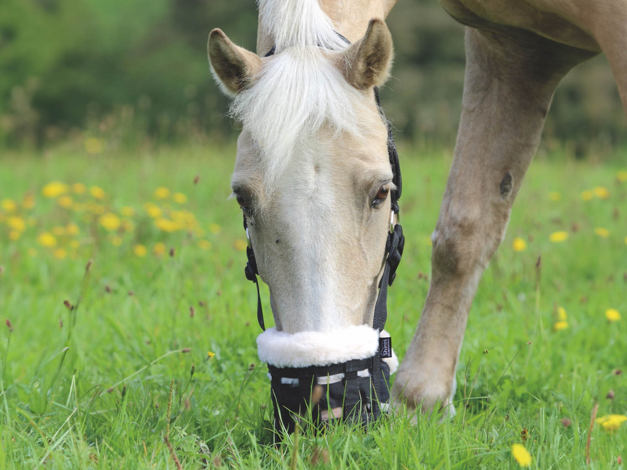 Grazing Muzzles & Nose Nets
