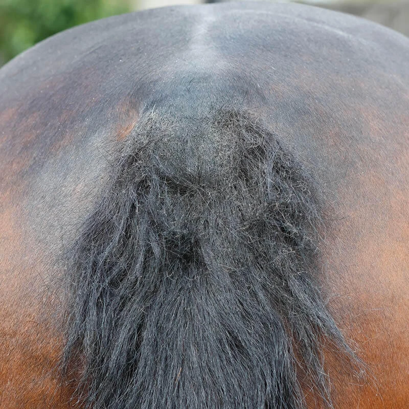 Itch Relief & Skin Treatments