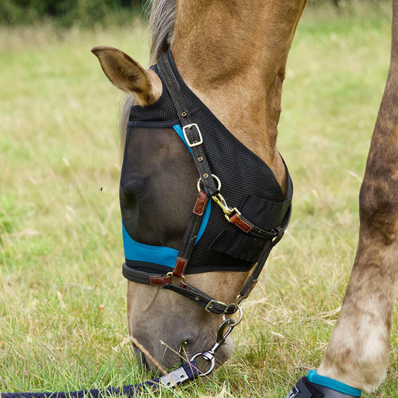 Fly Masks & Boots