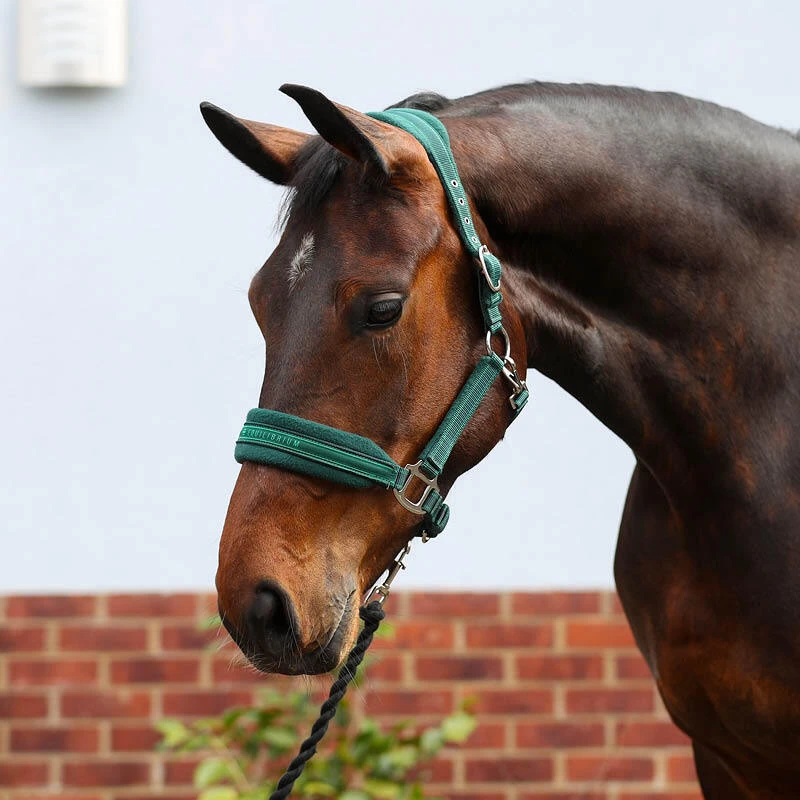 Horse Wear & Accessories