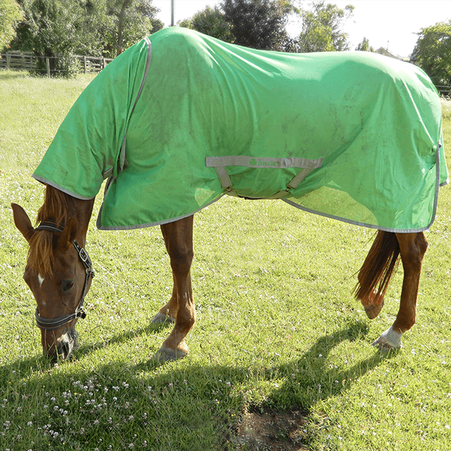 Bucas Freedom Fly Sheet main image 0