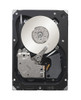 Seagate 300GB Fibre Channel 4Gb/s 10000RPM 3.5 inch Hard Drive