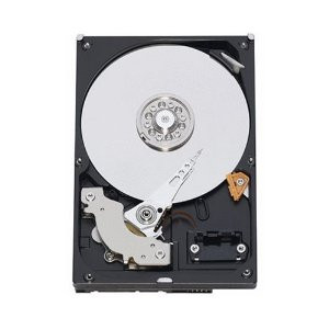WD3001FYYG - Western Digital RD 3TB 7200RPM SAS 3Gb/s 32MB Cache 3.5-inch Hard Drive