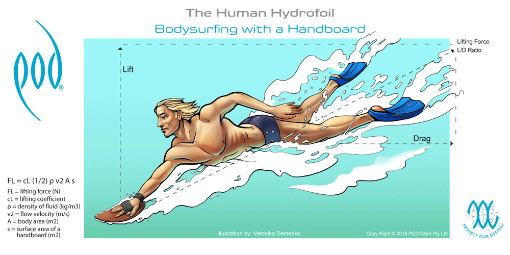 How to Choose a Bodysurfing Handboard