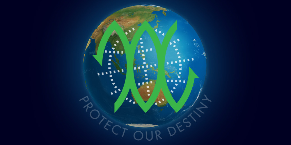 Which is More Eco-Friendly: Polyurethane or Plastic?