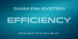 What Swim Fins Actually Do