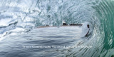 How Trim Controls Speed on a Wave 