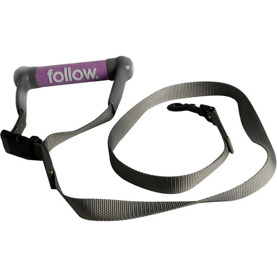 Follow Dog Lead - Grey/Purple