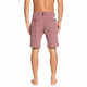 Quiksilver Union Heather Boardshorts - Back Model