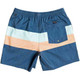 Quiksilver Seasons Volley Shorts - Blue - Back