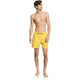 Quiksilver Surfwash Boardshorts - Mist Yellow