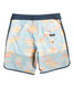 Quicksilver Highlite Scallop 19" Boardshorts Sky Blue - Back