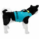 Radar Dog Vest - Blue