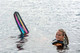 HO Women's Omni Water Ski in the Water