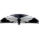 Hyperlite Falcon1500 Fron Wing - Top