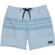 Quiksilver Surfsilk Street Trunk 18" Boardshorts - Skyway