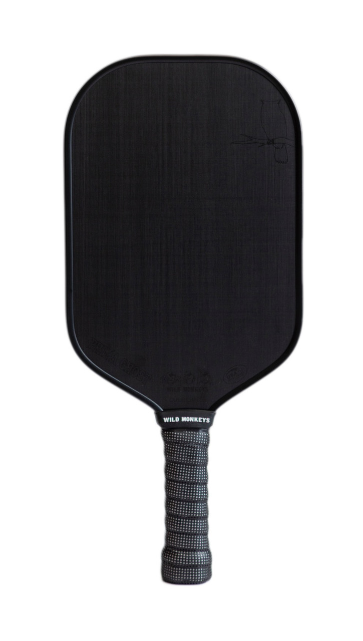 Pickleball Paddle Kit with 