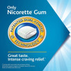 Nicorette 2mg Coated White Ice Mint - 100 ct Thumbnail Image