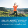 Nicorette 2mg Coated White Ice Mint - 100 ct Thumbnail Image
