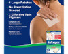 Salonpas Pain Relieving Patches Large - 6 each Thumbnail Image