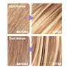 L'Oreal Frost & Design Highlights H85 Champagne Thumbnail Image