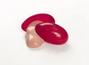 Silly Putty Original - 1 Pkg Thumbnail Image