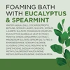 Dr. Teals Eucalyptus Foaming Bath, Eucalyptus, 34oz - 1 Pkg Thumbnail Image