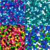 Perler Beads Small Activity Kit, Ocean Buddies, 2400 Ct - 1 Pkg Thumbnail Image