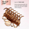 Crown Jaw Hair Clip-No Slip, Natural - 1 Pkg Thumbnail Image