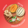 Calgon Body Mist/Spray, Hawaiian Ginger, 8 oz - 1 Pkg Thumbnail Image