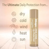 Blistex Five Star Lip Protection Lip Protectant/Sunscreen SPF 30 - 12 ct Thumbnail Image