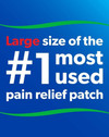 Salonpas Pain Relieving Patches - 60 patches Thumbnail Image